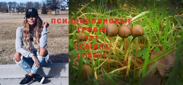 гидра Мегион