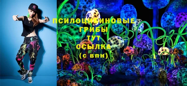 синтетический гашиш Медвежьегорск