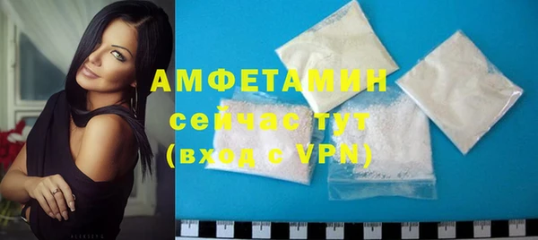 гидра Мегион