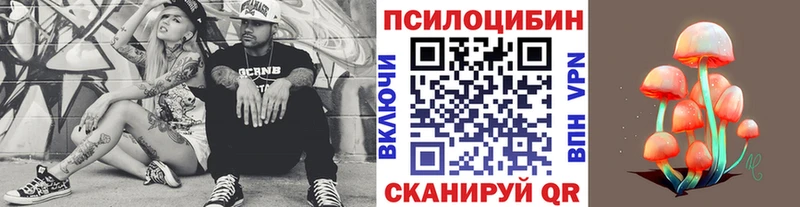 Купить  Курчалой  Псилоцибиновые грибы ЛСД 